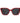 Polaroid Multicolor Polycarbonate Sunglasses