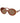 Tory Burch Brown Acetate Sunglasses