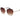 Ted Baker Gold Metal Sunglasses