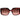 Ted Baker Pink Acetate Sunglasses
