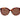 Ted Baker Brown Acetate Sunglasses