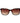 Radley Brown Polycarbonate Sunglasses