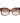 Ted Baker Brown Acetate Sunglasses