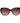 Ted Baker Black Acetate Sunglasses