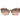 Marciano by Guess Army Acetate Sunglasses