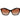 Marciano by Guess Black Acetate Sunglasses