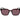 Gant Brown Stainless Steel Sunglasses