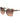 Marciano by Guess Bicolor Acetate Sunglasses