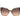Marciano by Guess Bicolor Acetate Sunglasses
