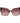 Marciano by Guess Brown Acetate Sunglasses