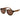 Gant Brown Plastic Sunglasses