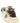 Golden Goose Multicolor Cowhide Low Top Sneakers