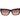 Guess Brown Plastic Sunglasses