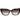 Trussardi Brown Acetate Sunglasses