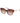 Trussardi Multicolor Acetate Sunglasses