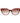 Trussardi Multicolor Acetate Sunglasses