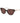 Trussardi Brown Acetate Sunglasses