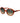 Guess Brown Plastic Sunglasses