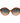 Guess Brown Plastic Sunglasses