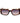 Guess Brown Acetate Sunglasses