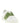 Valentino Garavani Bicolor Calfskin Low Top Sneakers