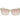 GCDS Gold Acetate Sunglasses