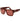 GCDS Brown Acetate Sunglasses