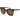 Polaroid Brown Polycarbonate Sunglasses