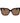 Polaroid Brown Polycarbonate Sunglasses