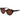 Replay Brown Plastic Sunglasses