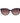 Tommy Hilfiger Purple Acetate Sunglasses