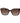 Tommy Hilfiger Black Acetate Sunglasses