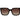 Tommy Hilfiger Black Acetate Sunglasses