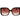 Marc Jacobs Brown Acetate Sunglasses