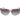Carrera Gray Acetate Sunglasses