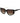 Carrera Black Acetate Sunglasses