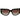 Carrera Black Acetate Sunglasses