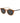 Polaroid Brown Polycarbonate Sunglasses