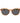 Polaroid Brown Polycarbonate Sunglasses