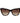 Carolina Herrera Brown Acetate Sunglasses