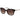 Guess Brown Acetate Sunglasses