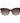 Guess Brown Acetate Sunglasses