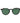Carrera Ducati Black Acetate Sunglasses