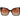 Marciano by Guess Black Acetate Sunglasses
