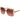 Marciano by Guess Beige Acetate Sunglasses