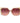 Marciano by Guess Beige Acetate Sunglasses