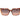 Marciano by Guess Multicolor Acetate Sunglasses