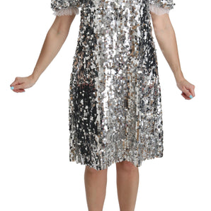 Dolce &amp; Gabbana Elegant Silver A-Line Dress with Crystal Accents