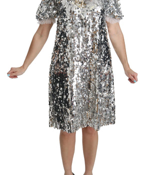 Dolce & Gabbana Elegant Silver A-Line Dress with Crystal Accents Dolce & Gabbana 