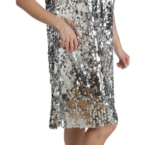 Dolce & Gabbana Elegant Silver A-Line Dress with Crystal Accents